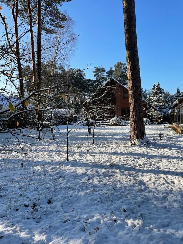 Auf Der Heide Villa Borkheide Exterior photo